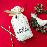 Mikulás, Karácsonyi csomag, zacskó lezáró szalaggal,1db, feher, ezüst/ Julpåse, 1 st